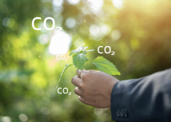 คาร์บอนไดออกไซด์คืออะไร? ทำความเข้าใจพื้นฐานของ CO2