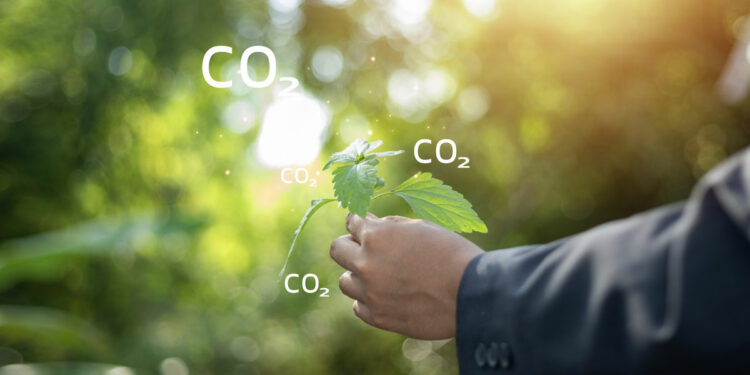 คาร์บอนไดออกไซด์คืออะไร? ทำความเข้าใจพื้นฐานของ CO2
