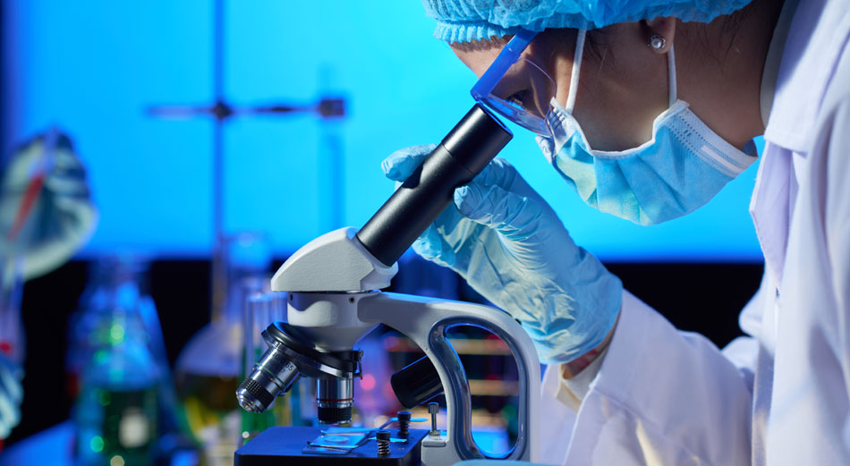 examining-sample-microscope