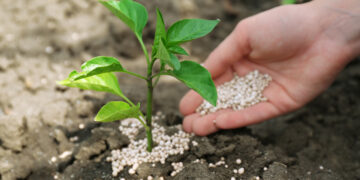 NPK ในปุ๋ยคืออะไร? ทำไมจึงสำคัญ สมดุลที่เหมาะสม