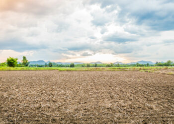 เข้าใจดินคืออะไร: องค์ประกอบ ประเภท และความสำคัญ