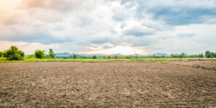 เข้าใจดินคืออะไร: องค์ประกอบ ประเภท และความสำคัญ