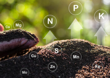 ทำความเข้าใจประเภทของดิน: ความสำคัญในภาคเกษตรกรรม