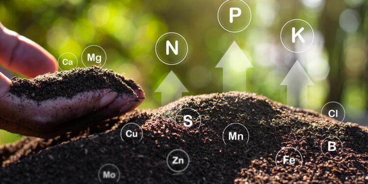 ทำความเข้าใจประเภทของดิน: ความสำคัญในภาคเกษตรกรรม