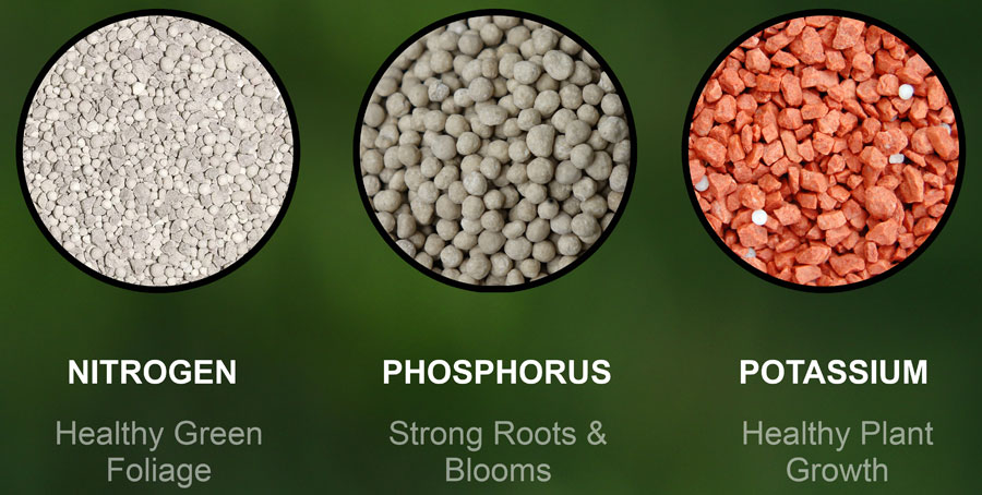 npk-made-fertilisers