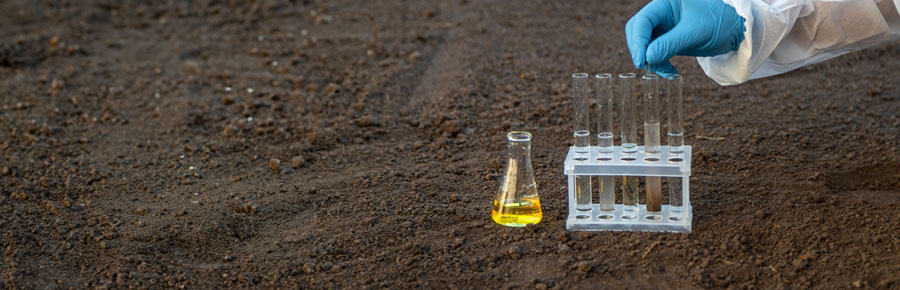 soil-analysis-focus