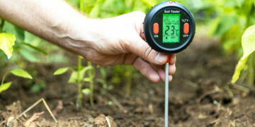 วิธีง่ายๆ ในการวัดค่า pH ของดินอย่างแม่นยำ คำแนะนำทีละขั้นตอน