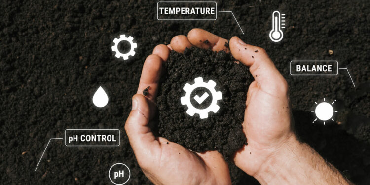 ระดับค่า ph ของดินที่เหมาะสมสำหรับการเจริญเติบโตของพืชอย่างมีสุขภาพดี