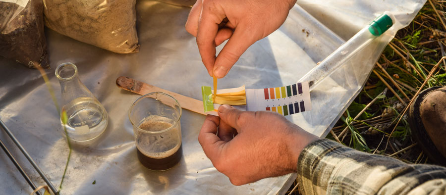 testing-soil-sample