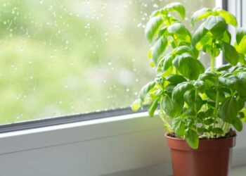 อธิบายความชื้นสัมบูรณ์ (AH) คืออะไร: ความหมาย การวัด และการใช้งาน