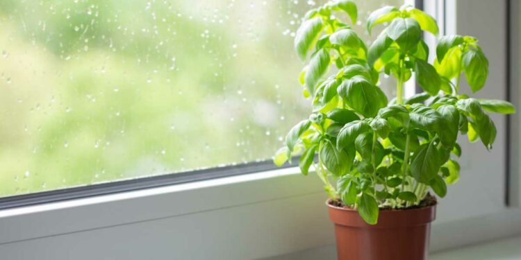 อธิบายความชื้นสัมบูรณ์ (AH) คืออะไร: ความหมาย การวัด และการใช้งาน