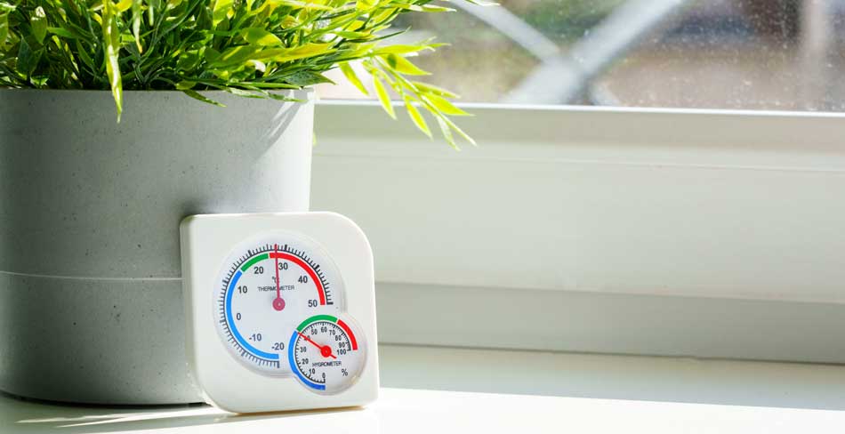 analog-hygrometer-plant